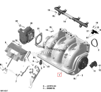Induction коллектор Sea-Doo RXP (2016) (420867946)