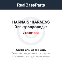 710001032 HARNAIS        *HARNESS  Электропроводка