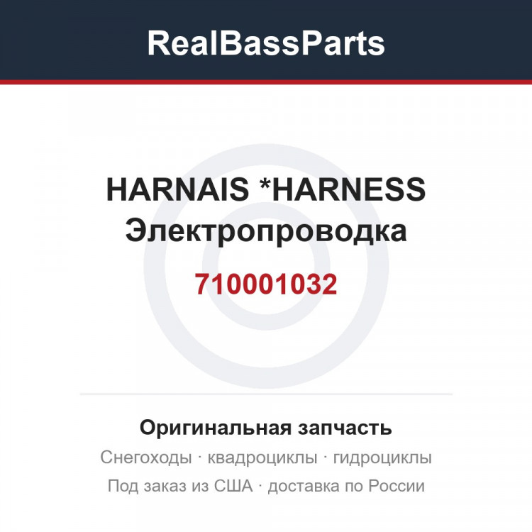 710001032 HARNAIS        *HARNESS  Электропроводка
