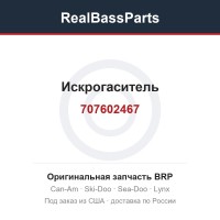707602467 Искрогаситель