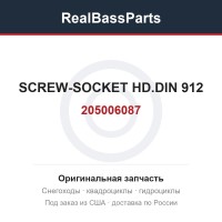 205006087 SCREW-SOCKET HD.DIN 912