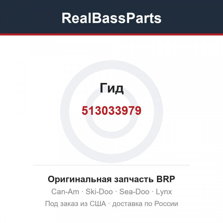 513033979 Гид