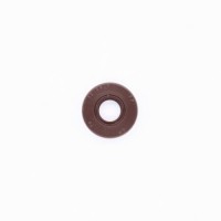 420250452 OIL SEAL