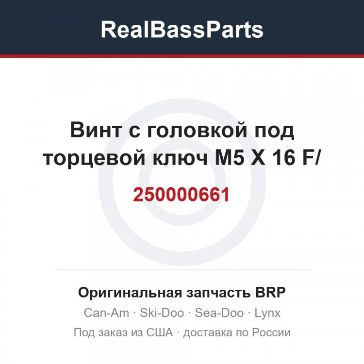 250000661 Винт с головкой под торцевой ключ M5 X 16 F/