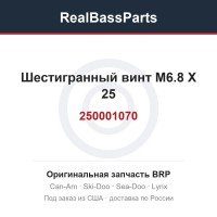 250001070 Шестигранный винт M6.8 X 25