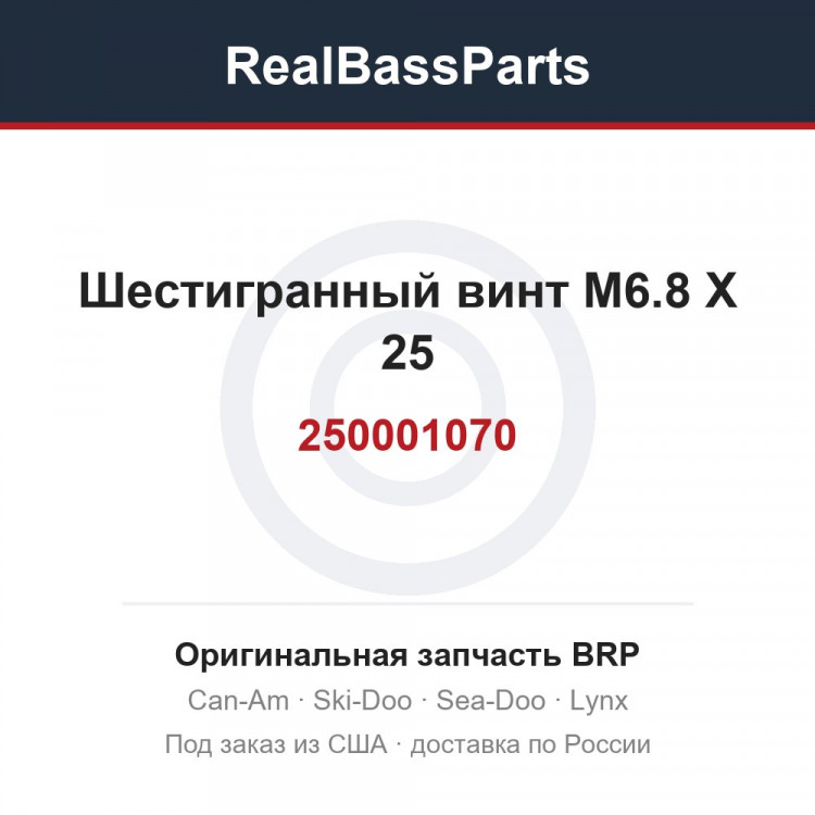 250001070 Шестигранный винт M6.8 X 25