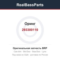 293300110 Оринг