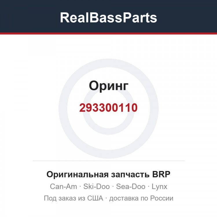 293300110 Оринг
