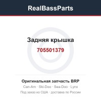 705501379 Задняя крышка