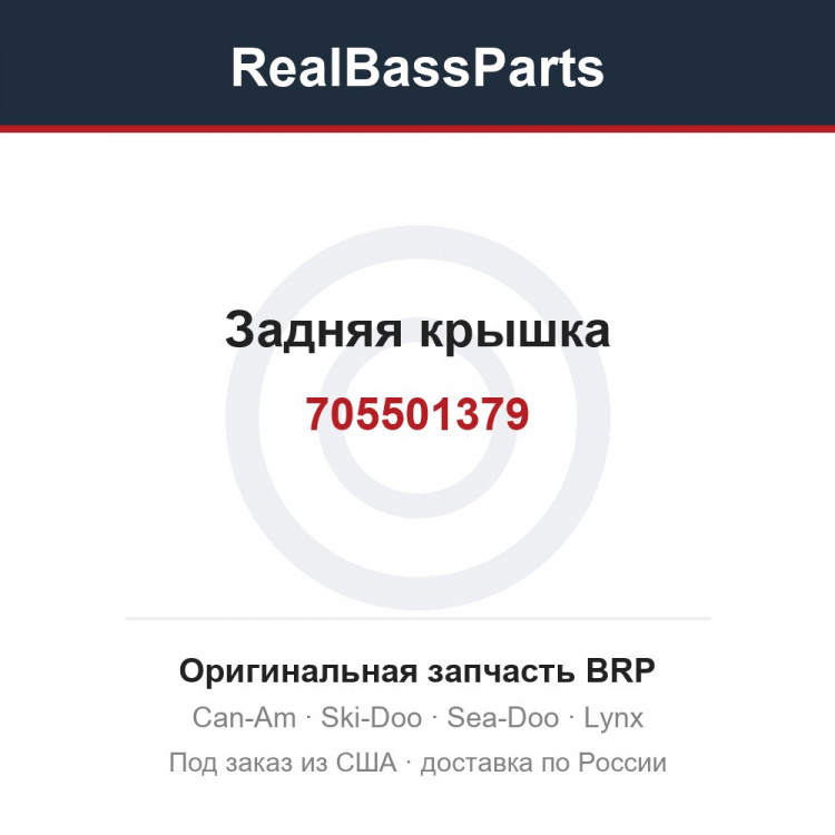 705501379 Задняя крышка