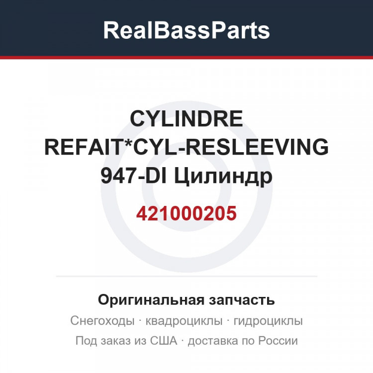 421000205 CYLINDRE REFAIT*CYL-RESLEEVING 947-DI Цилиндр