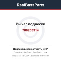 706203314 Рычаг подвески