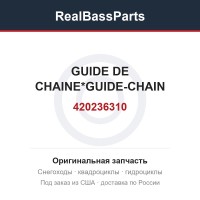 420236310 GUIDE DE CHAINE*GUIDE-CHAIN