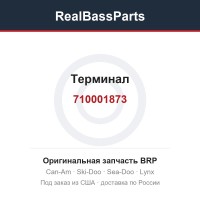 710001873 Терминал