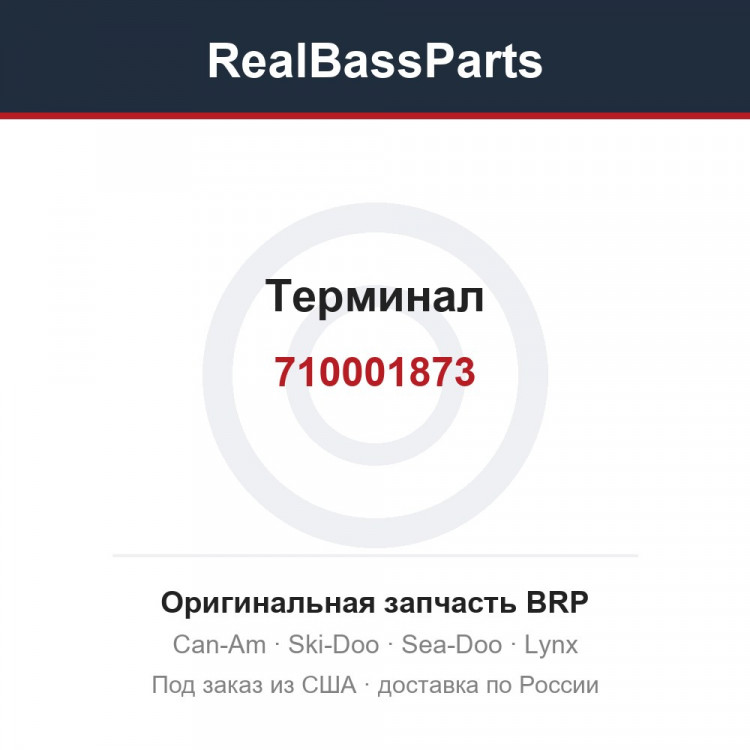 710001873 Терминал