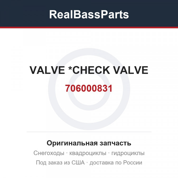 706000831 VALVE          *CHECK VALVE