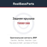 705501380 Задняя крышка