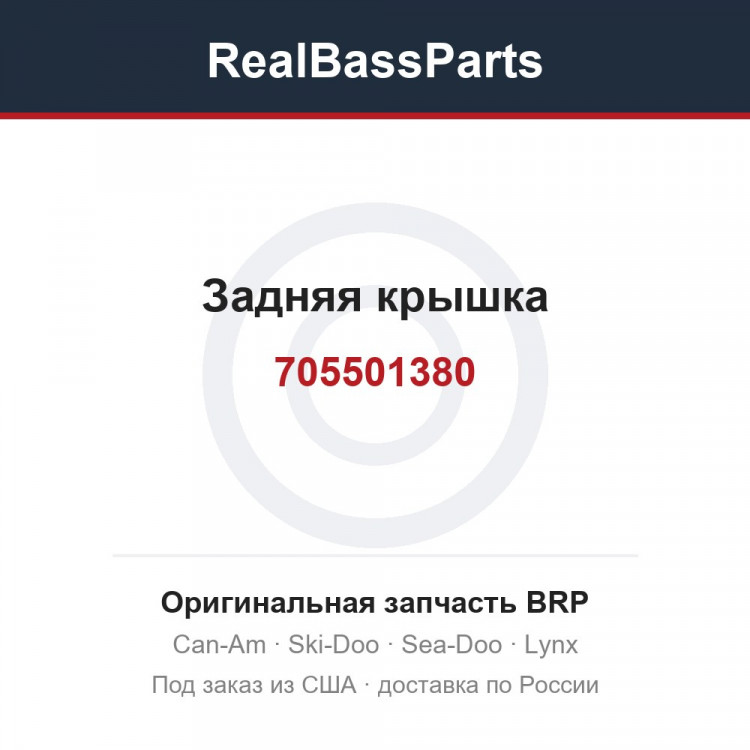 705501380 Задняя крышка
