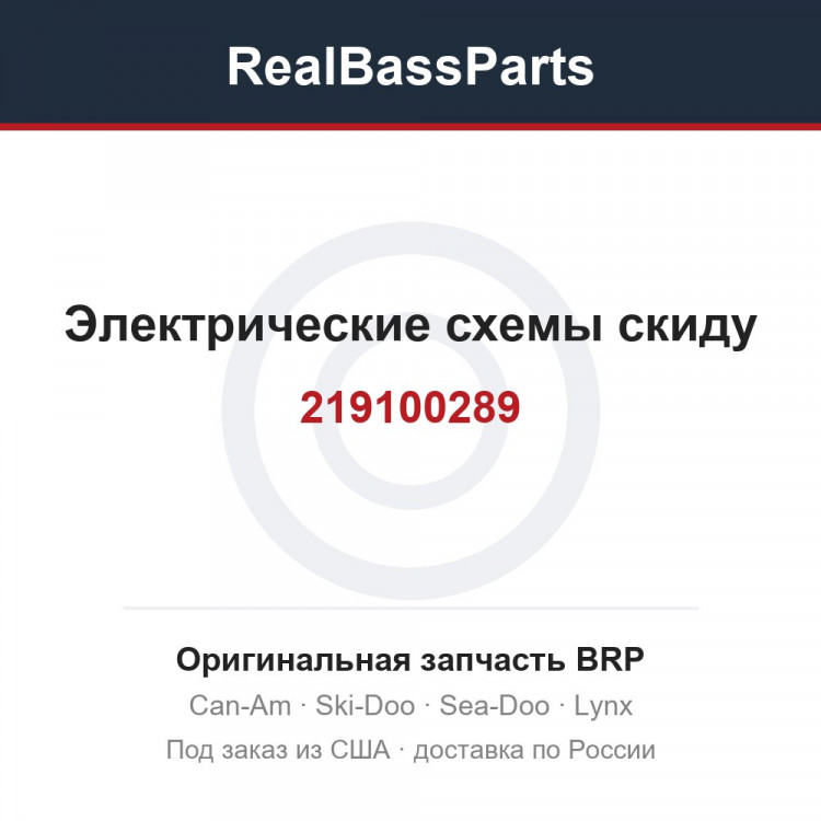 219100289 Электрические схемы скиду