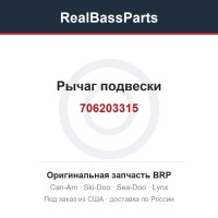706203315 Рычаг подвески