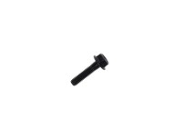 250000522 SCREW-HEX.FLANGE DIN.6921