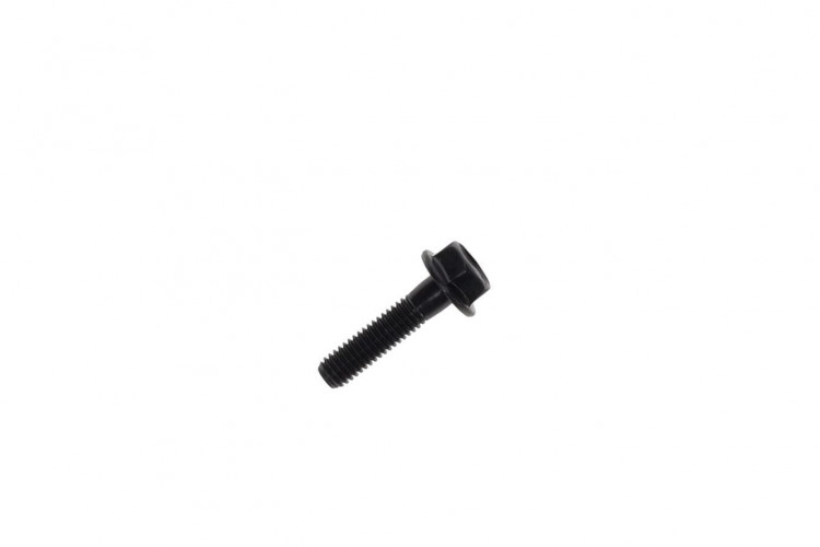 250000522 SCREW-HEX.FLANGE DIN.6921