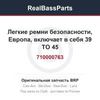 710000763 Легкие ремни безопасности, Европа, включает в себя 39 TO 45