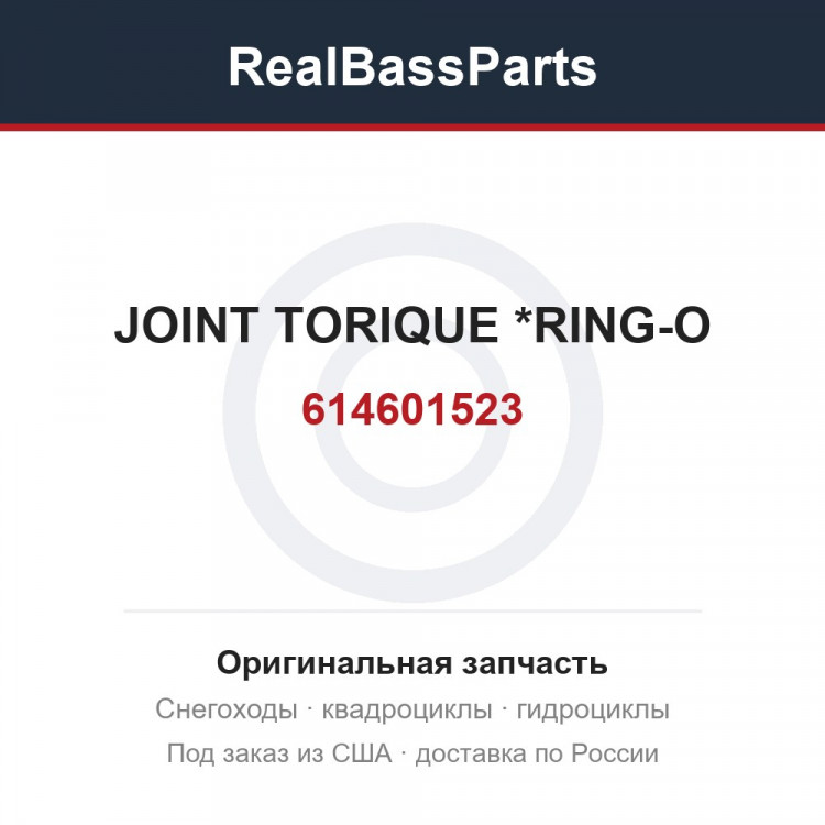 614601523 JOINT TORIQUE  *RING-O