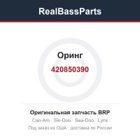420850390 Оринг