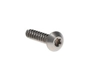 250000879 Винтпластит torx M6.81X30