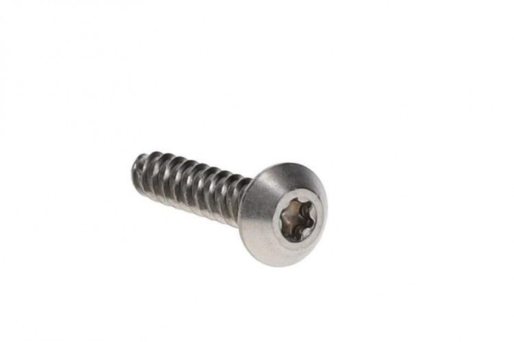 250000879 Винтпластит torx M6.81X30