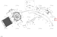 Шланг Ski-Doo Expedition LE 900 ACE Turbo (2026) (509001453)