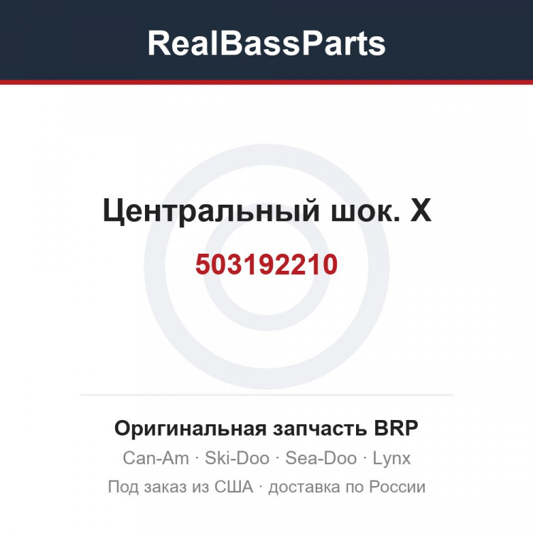503192210 Центральный шок. Х