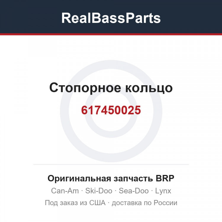 617450025 Стопорное кольцо