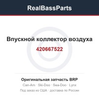 420667522 Впускной коллектор воздуха