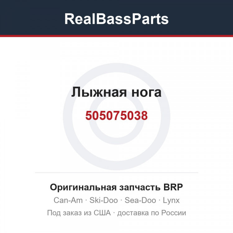505075038 Лыжная нога
