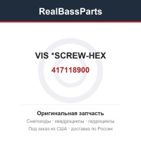 417118900 VIS            *SCREW-HEX