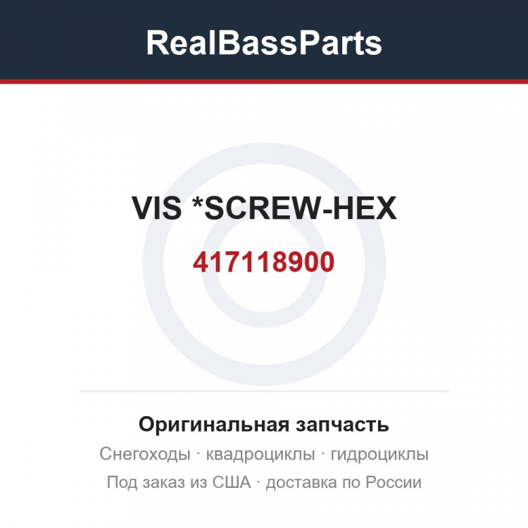 417118900 VIS            *SCREW-HEX