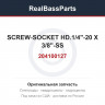 204100127 SCREW-SOCKET HD.1/4"-20 X 3/8"-SS