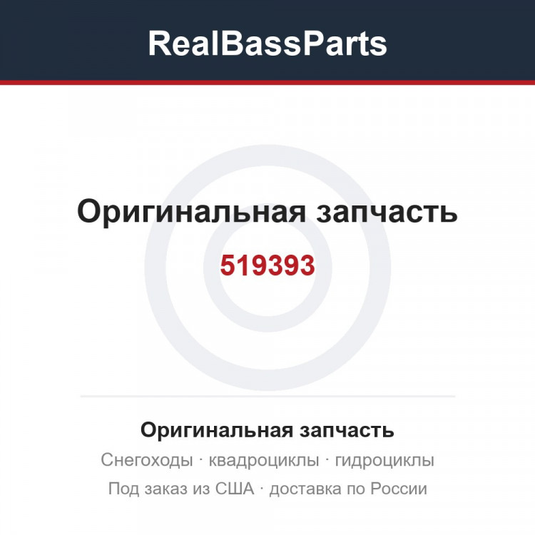 519393
