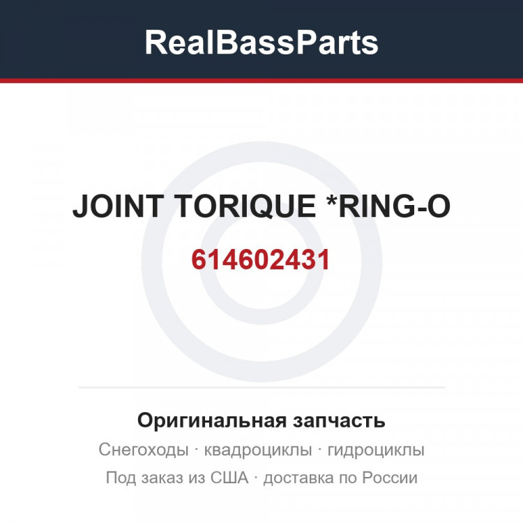 614602431 JOINT TORIQUE  *RING-O