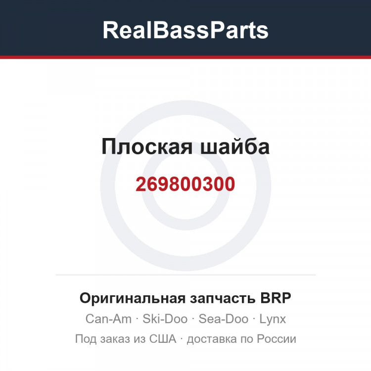 269800300 Плоская шайба