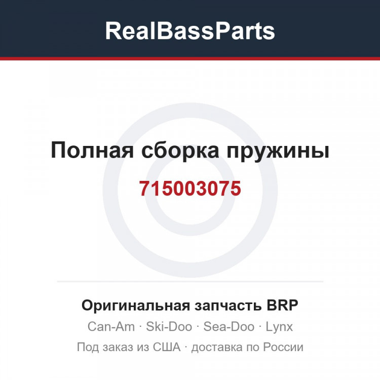 715003075 Полная сборка пружины