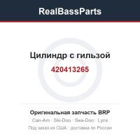 420413265 Цилиндр с гильзой