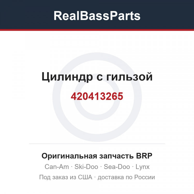 420413265 Цилиндр с гильзой