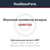 420667526 Впускной коллектор воздуха