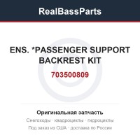 703500809 ENS. *PASSENGER  SUPPORT BACKREST KIT