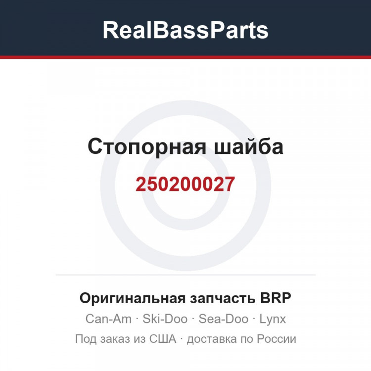 250200027 Стопорная шайба