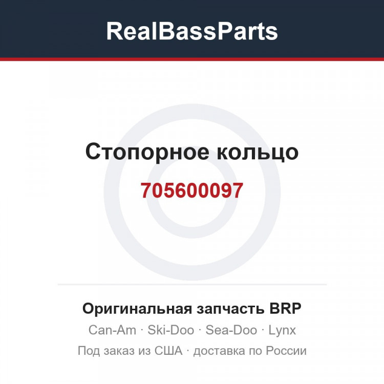705600097 Стопорное кольцо