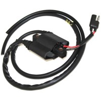 Катушка зажигания Polaris Sportsman 700/600 2004-2006 4010898